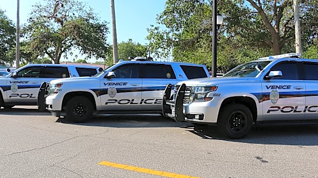 Sarasota County man accused of cutting oak at fatal crash site