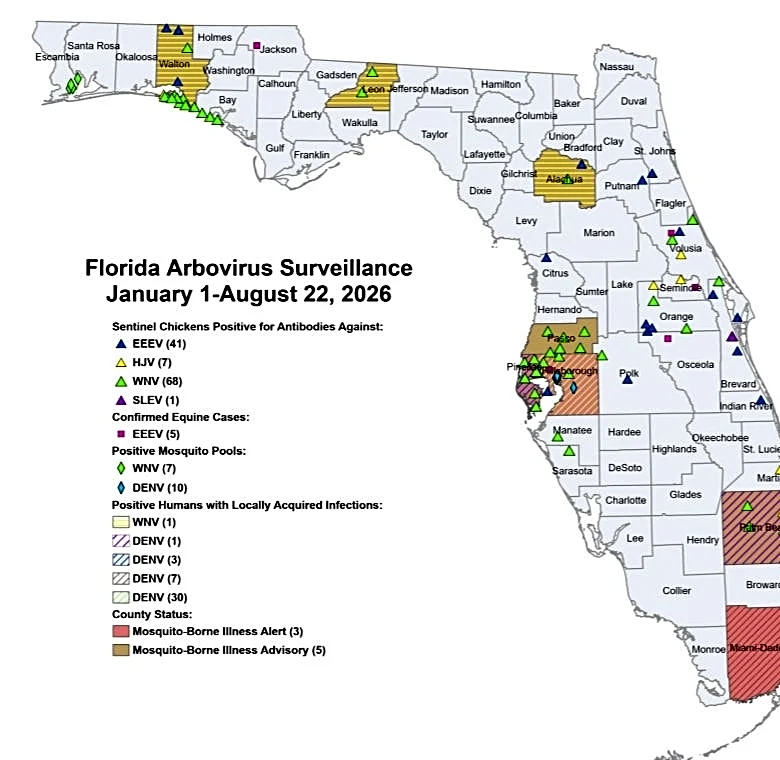 Dengue surges in Florida with 18 new cases reported in one week