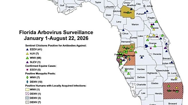 Dengue surges in Florida with 18 new cases reported in one week