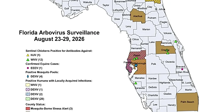 Florida dengue cases spike. How to protect yourself on Labor Day weekend