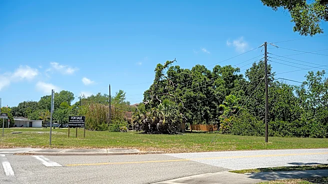 Exclusive car club with $25,000 memberships coming to downtown Sarasota