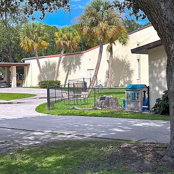 Sarasota church cuts homeless services after violation | Exclusive