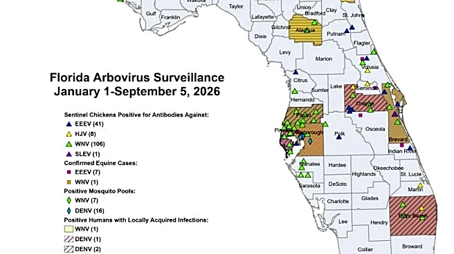 Florida dengue cases jump again, with most cases found in 1 county