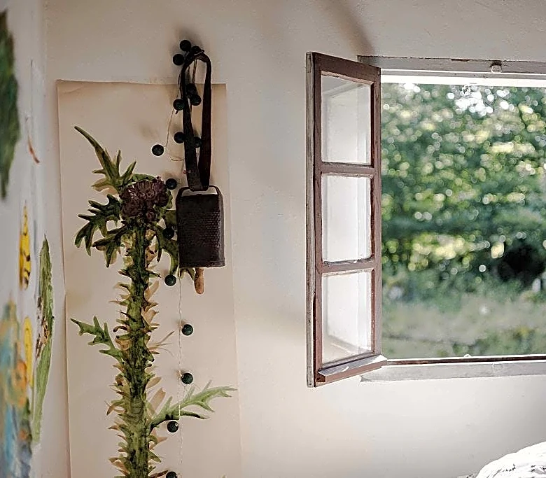 Sarasota window and door pros for impact rated upgrades