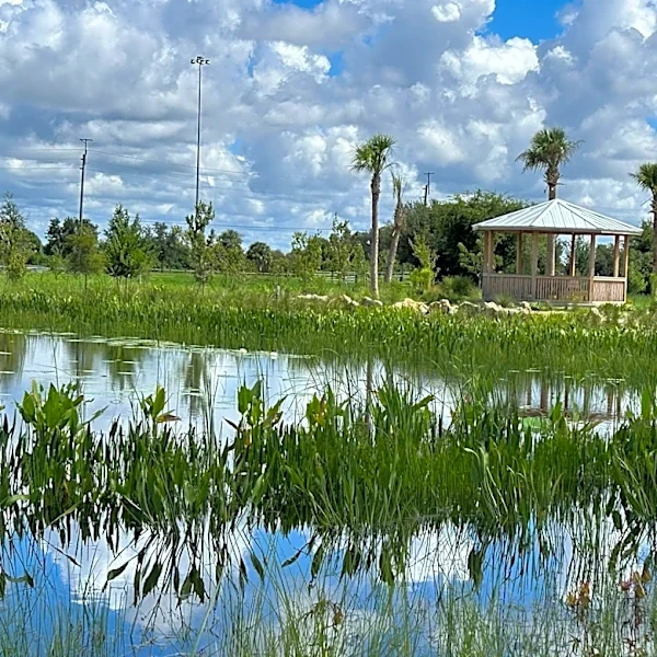 There's a new push to rewild Sarasota's Celery Fields habitat