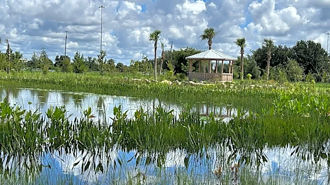 There's a new push to rewild Sarasota's Celery Fields habitat