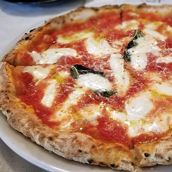 Live roaches found at popular Sarasota pizza restaurant