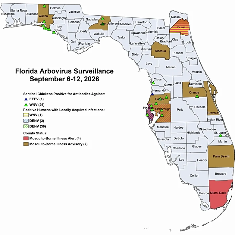 Florida dengue hotspot map, where other mosquito-borne infections are