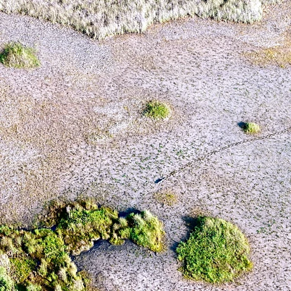 Why Florida’s drought is threatening more than lawns