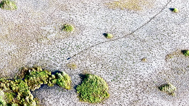 Why Florida’s drought is threatening more than lawns