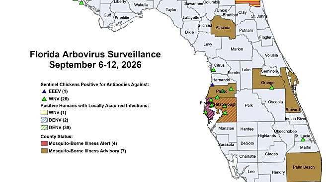 How worried should Florida residents, visitors be about dengue?
