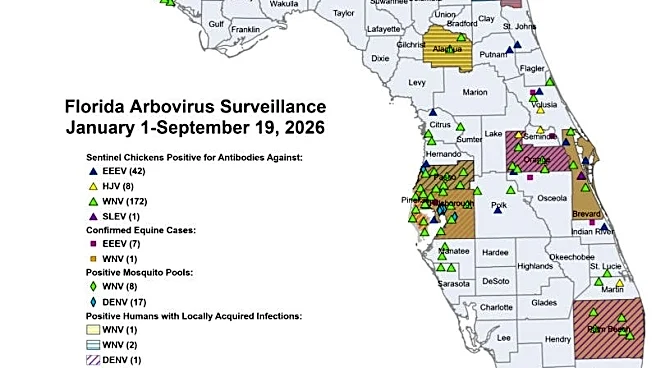 Dengue cases keep climbing in Florida. This is how to protect yourself