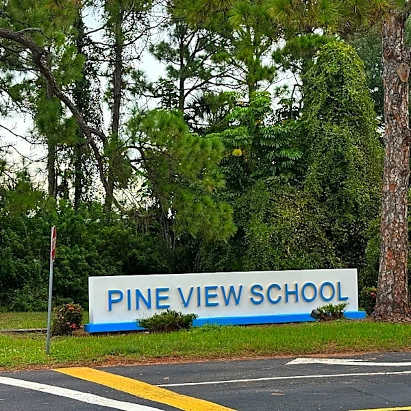 Sarasota Pine View teacher faced 4 misconduct cases before AG stepped in