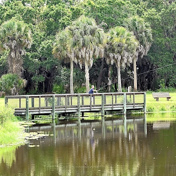 We went for a walk in Sarasota. Here's what surprised us. | Letters