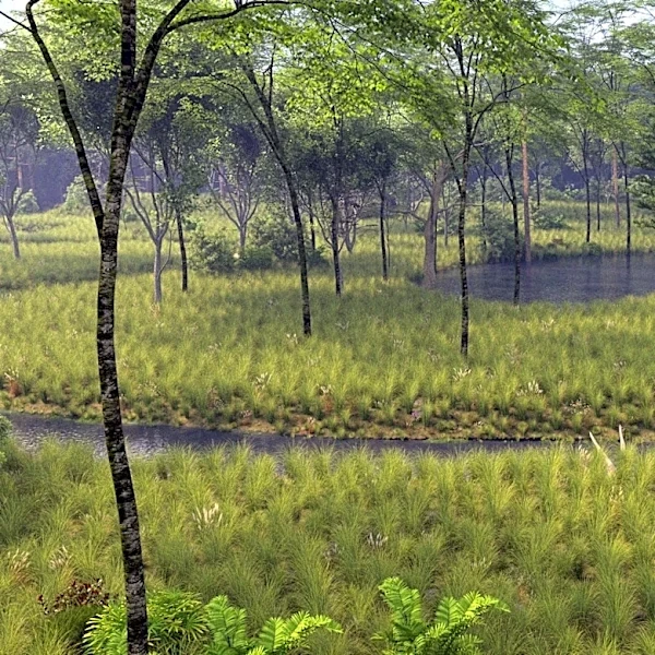 Sarasota County starts major watershed restoration work