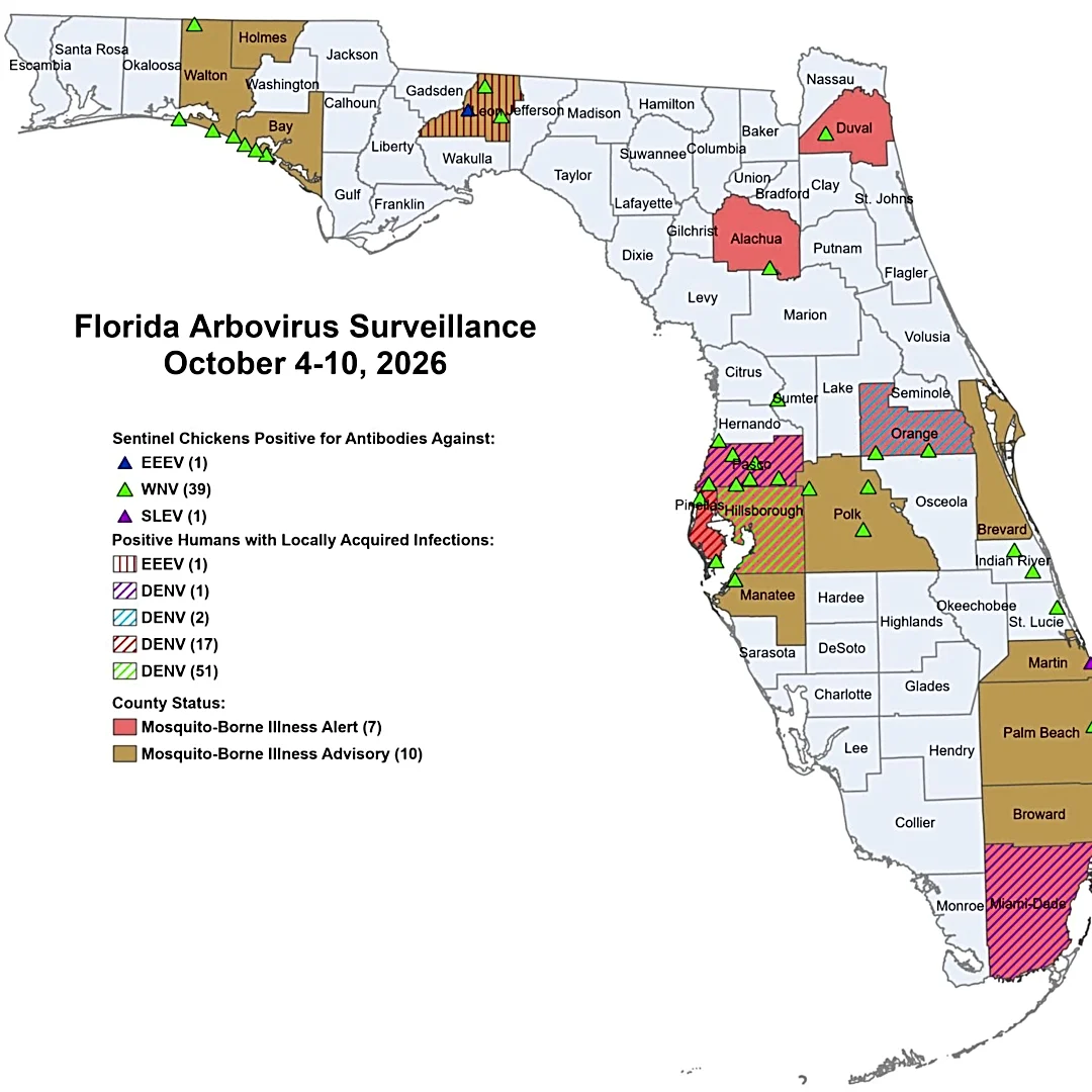 Florida dengue cases surge again, adding 72 in one week