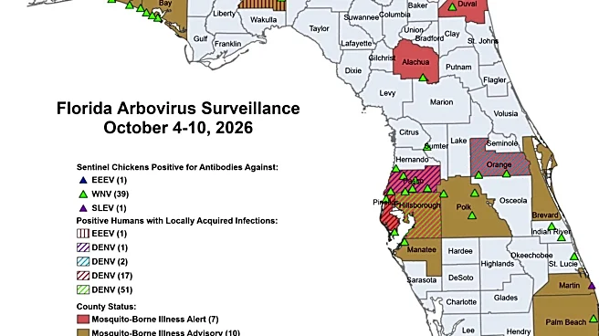 Florida dengue cases surge again, adding 72 in one week