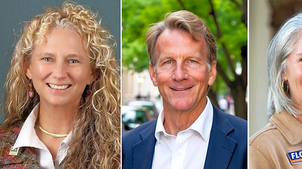 3 people. 2 Sarasota commission seats. Who should you pick? | Opinion