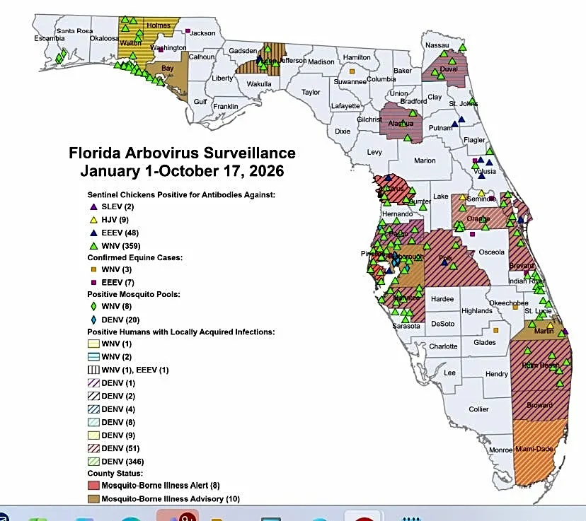 Dengue cases continue to increase, spread across Florida. What can you do?