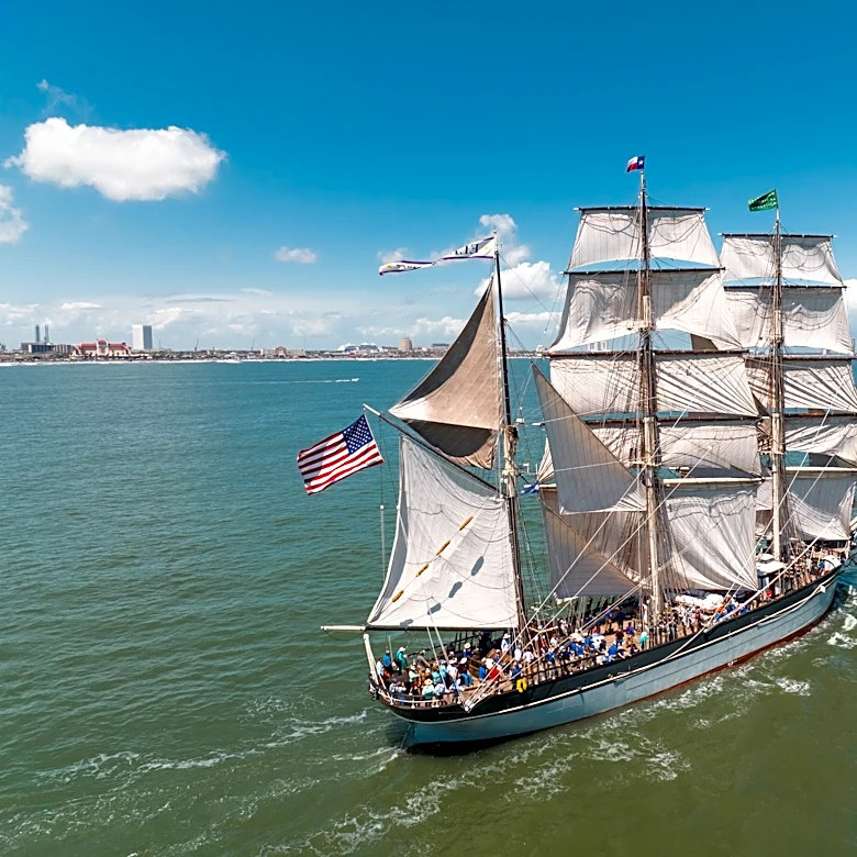 Historic ship, Family Day, Charlie Chaplin and Turtle Tuesday on tap