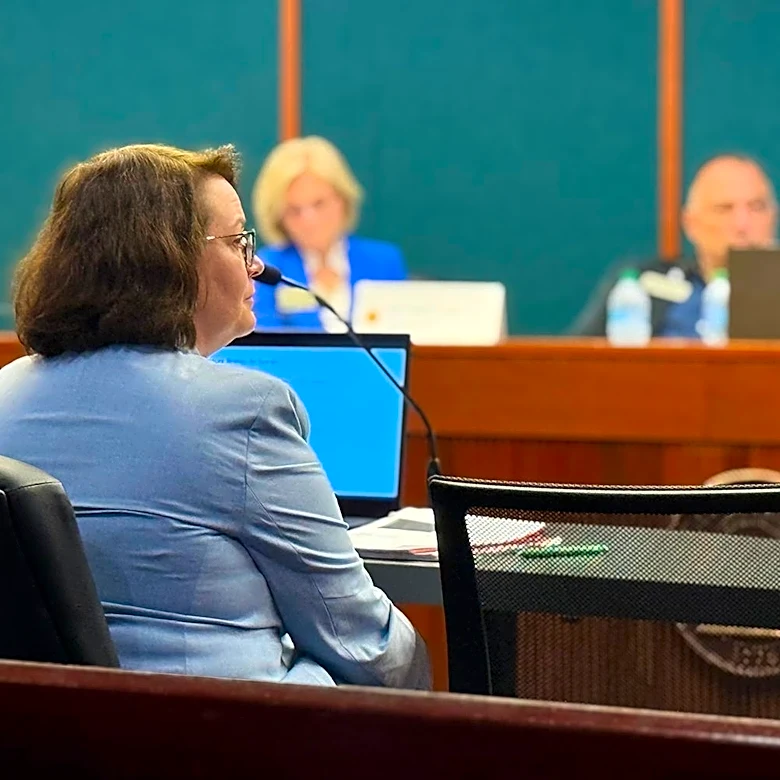 Georgia officials examine foster care budget crisis