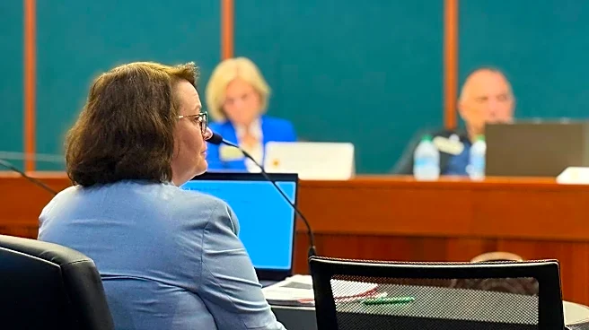 Georgia officials examine foster care budget crisis