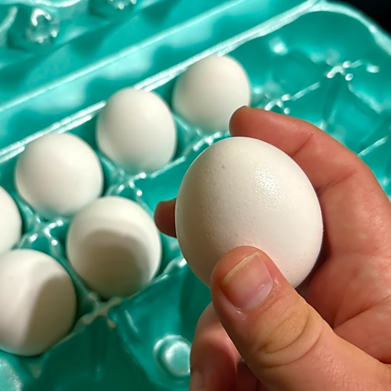 1.6 million egg-recall upgraded to FDA's highest risk. Is GA impacted?