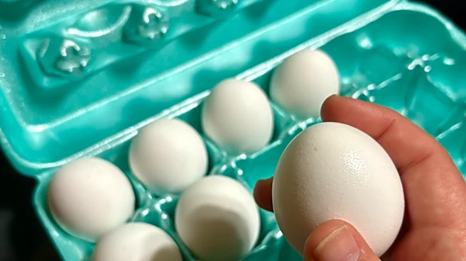 1.6 million egg-recall upgraded to FDA's highest risk. Is GA impacted?