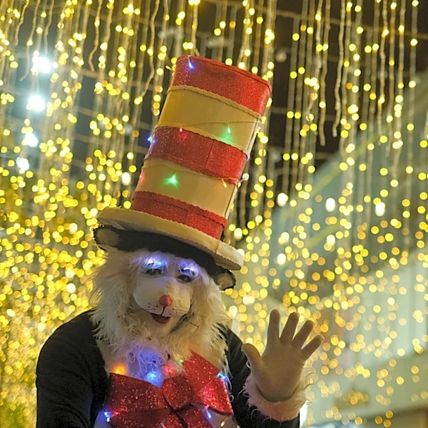 Viral 'Cat in the Hat' trend reaches Georgia schools