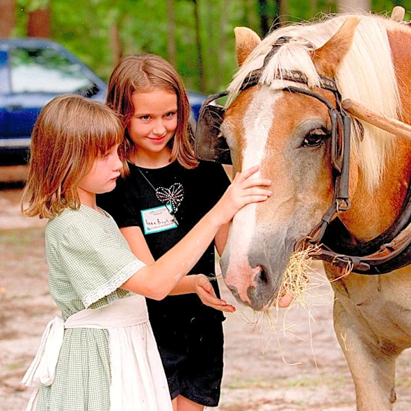 Can you ride a horse on Georgia roads? What the law says