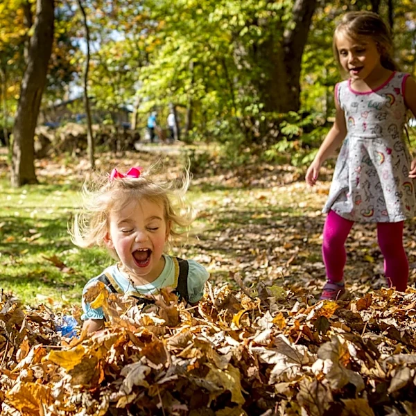 When does fall begin in Georgia? Low temperatures could soon be in 60s