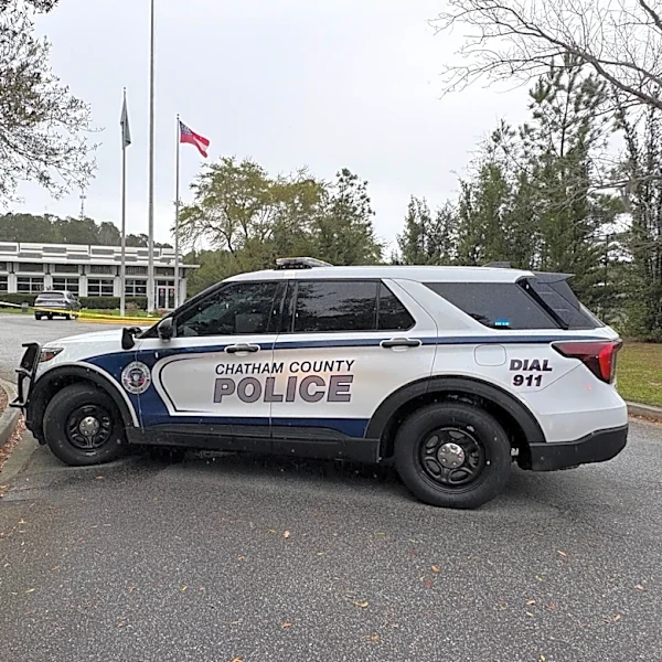 Man arrested after allegedly throwing machete at dog walker