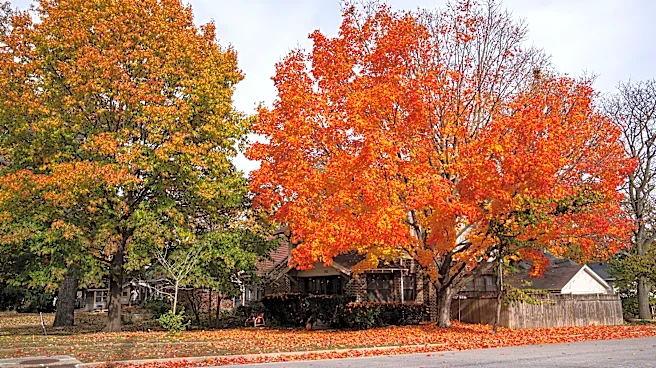 Is fall foliage coming later in 2026? Predictions for leaves in Georgia