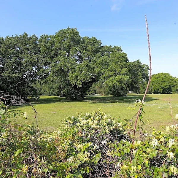 HAS to purchase land planned for Salvation Army shelter