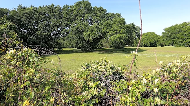 HAS to purchase land planned for Salvation Army shelter