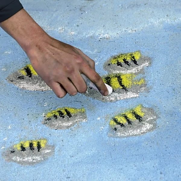 Georgia kids to compete in fish art contest. What do they win?