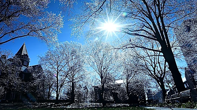 It's a Top 100 college in the world. It's also the best value school in GA