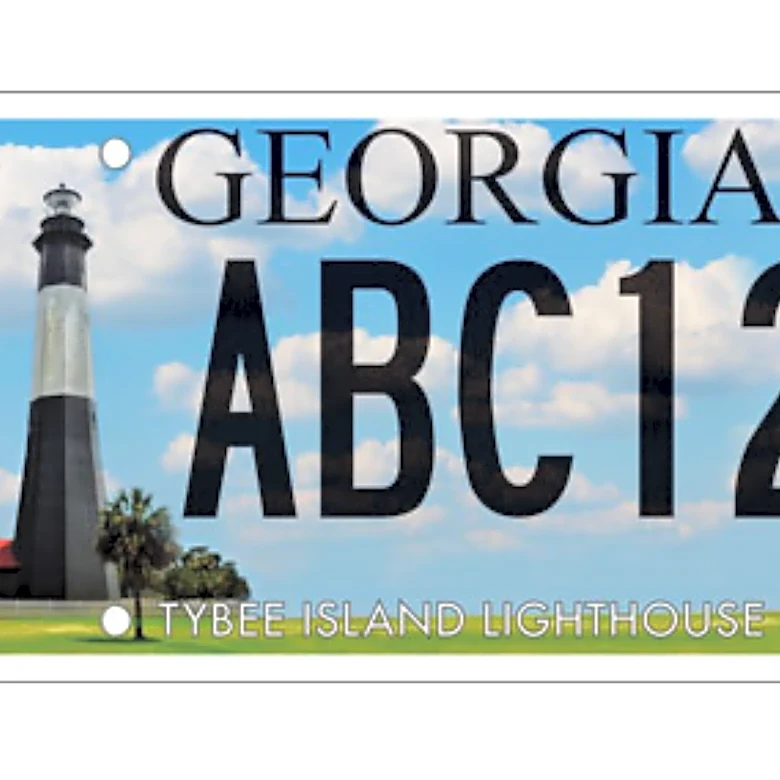 Driven to give? We found 20 GA license plates that donate to charity