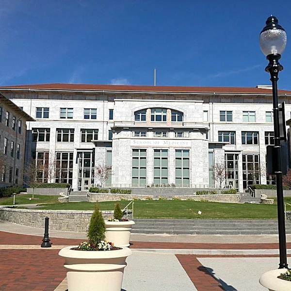Georgia has 3 of the nation's top 100 universities, U.S. News says