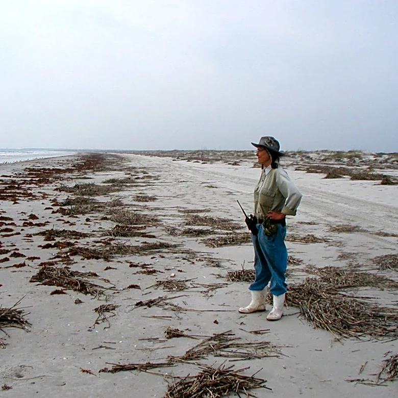 ‘Jane Goodall of Sea Turtles’ honored for lifetime research | Exclusive