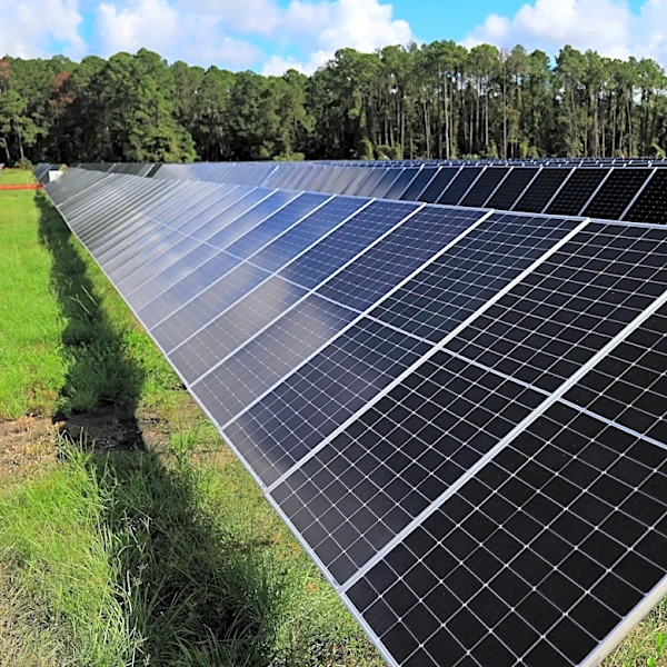 Developer eyes new 150-acre solar farm project in Effingham County