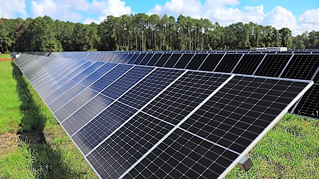 Developer eyes new 150-acre solar farm project in Effingham County