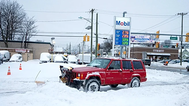 How will winter weather impact Georgia gas prices? What we know