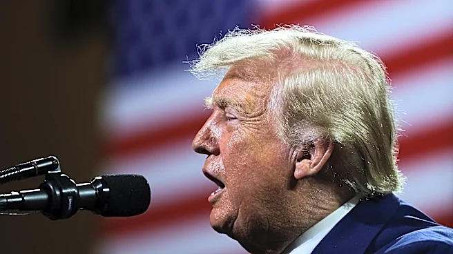Trump announced $500 checks, but Georgia won't get them. Here's why