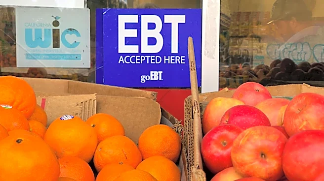 Food stamps changed Thursday. What to know about SNAP in Georgia