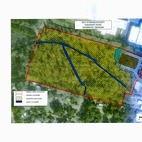 Rezoning for 13 acres of conservation land heads to Savannah council