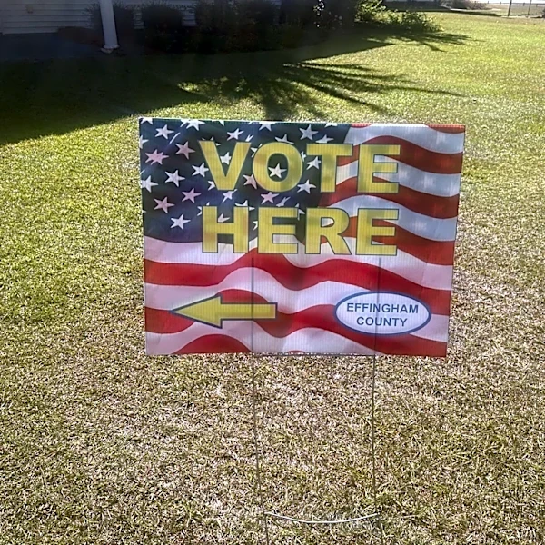 Commissioners, SPLOST on Effingham County ballot. Check out voter guide.
