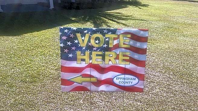 Commissioners, SPLOST on Effingham County ballot. Check out voter guide.