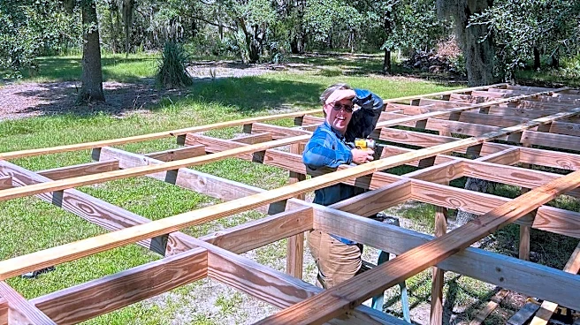 This is how you pack up 5,000 trees