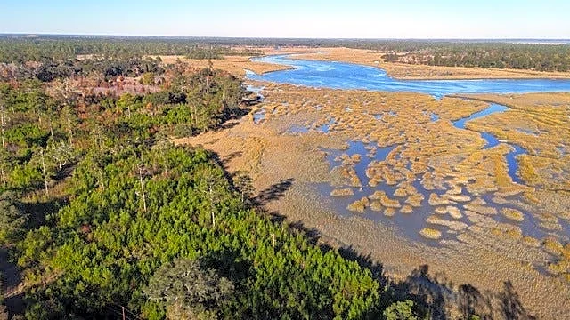 Chelsea Plantation to become state forest